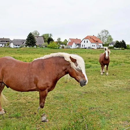 In Plogshagenauf Hidden Homestay szállás