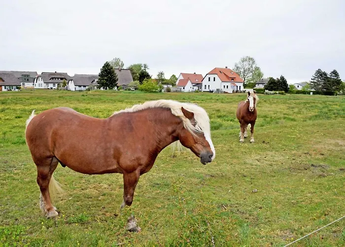 In Plogshagenauf Hidden Privat bolig